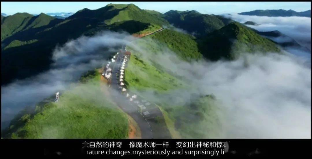 移动的靶心5